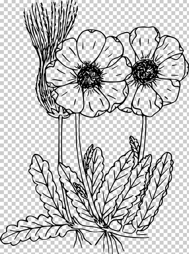 Coloring Book Drawing Wildflower PNG, Clipart, Artwork, Black And White, Child, Chrysanths, Color Free PNG Download