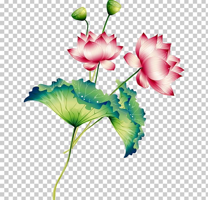 Nelumbo Nucifera PNG, Clipart, Anemone, Beautiful, Beautiful Lotus Image, Creative, Flower Free PNG Download