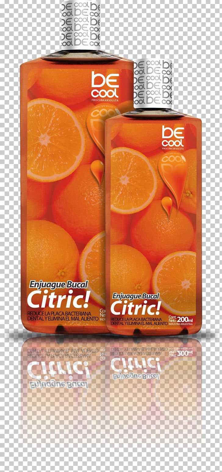 Orange Soft Drink Clementine Orange Drink Valencia Orange PNG, Clipart, Citric Acid, Clementine, Drink, Flavor, Fruit Free PNG Download