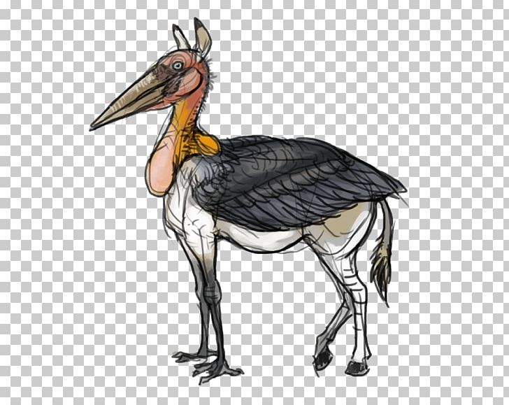 Chicken Bird Crane Goose Cygnini PNG, Clipart, Anatidae, Animals, Art, Beak, Bird Free PNG Download