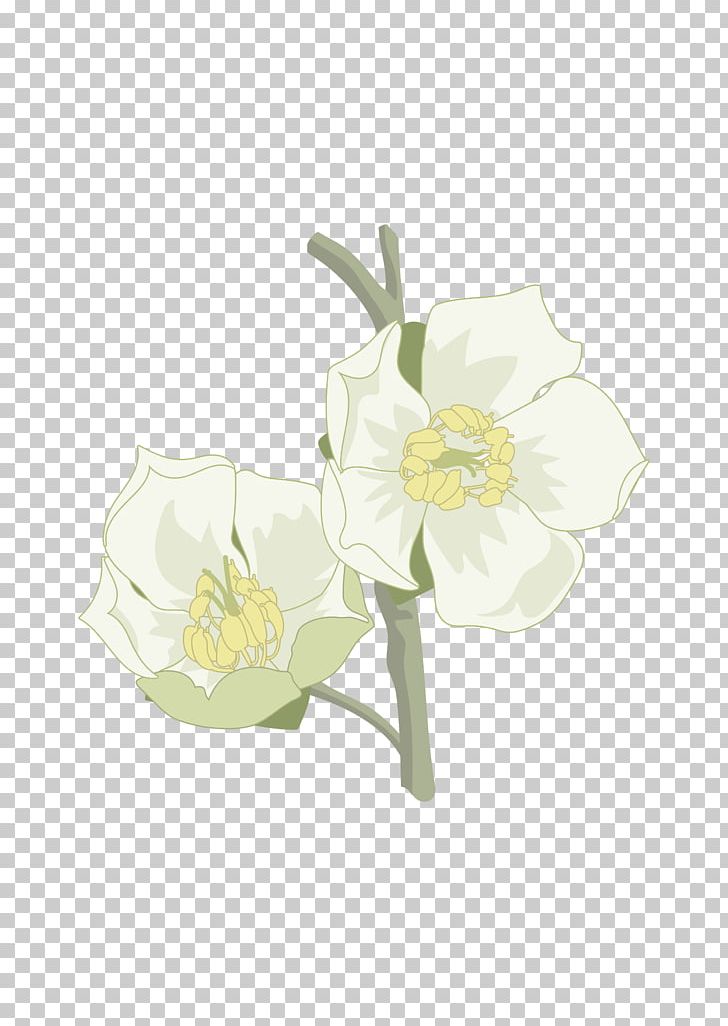 Cut Flowers Floral Design Plant Stem PNG, Clipart, Cut Flowers, Family, Flora, Floral Design, Flower Free PNG Download
