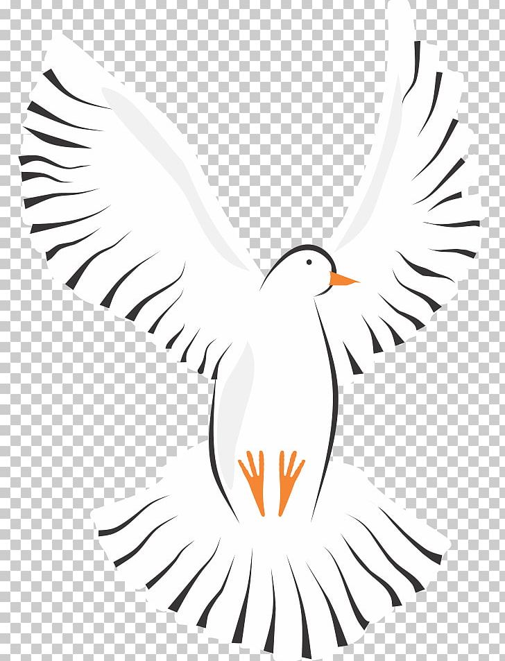 Columbidae Homing Pigeon PNG, Clipart, Artwork, Beak, Bird, Branch, Columbidae Free PNG Download