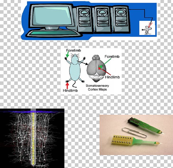 Data Analysis MATLAB Nervous System Electrophysiology PNG, Clipart, Array Data Structure, Brand, Data, Data Analysis, Doctor Of Philosophy Free PNG Download