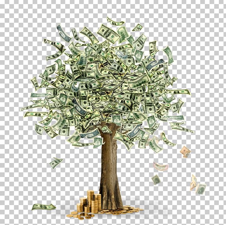 Money Guiana Chestnut Tree PNG, Clipart, Bank, Banknote, Branch, Currency, Fee Free PNG Download