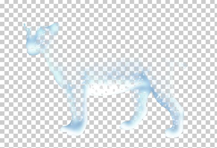Cat Dog Canidae Tail Wildlife PNG, Clipart, Animal Figure, Animals, Canidae, Carnivoran, Cat Free PNG Download