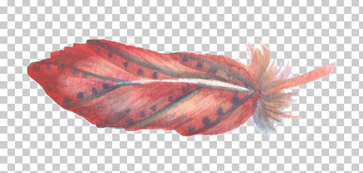 Red Watercolor Painting Feather PNG, Clipart, Animals, Color, Department, Download, Feather Free PNG Download