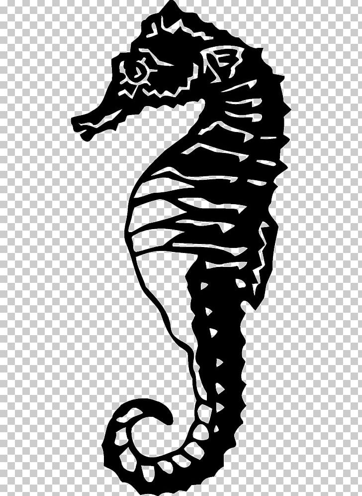 Seahorse Photography Art PNG, Clipart, Animals, Art, Autocad Dxf, Black, Black And White Free PNG Download