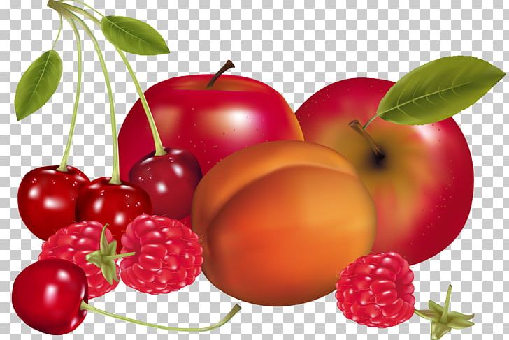 Juice Fruit Drawing Apricot PNG, Clipart, Accessory Fruit, Acerola, Apple, Apricot, Art Free PNG Download