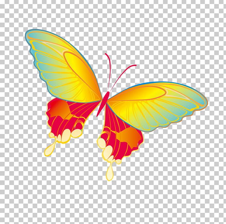 Butterfly PNG, Clipart, Arthropod, Blue Butterfly, Brush Footed Butterfly, Butte, Butterflies Free PNG Download