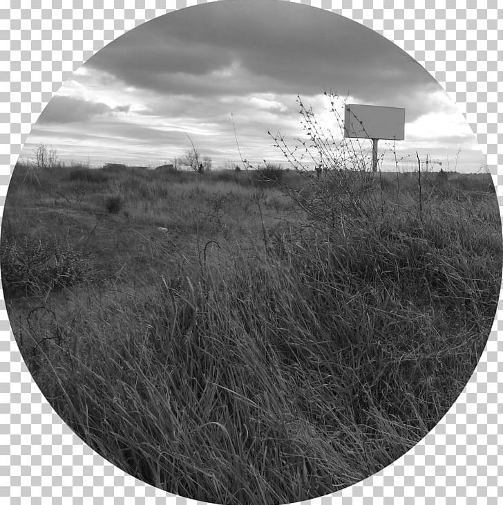Stock Photography Sky Plc PNG, Clipart, Black And White, Grass, Landscape, Monochrome, Monochrome Photography Free PNG Download