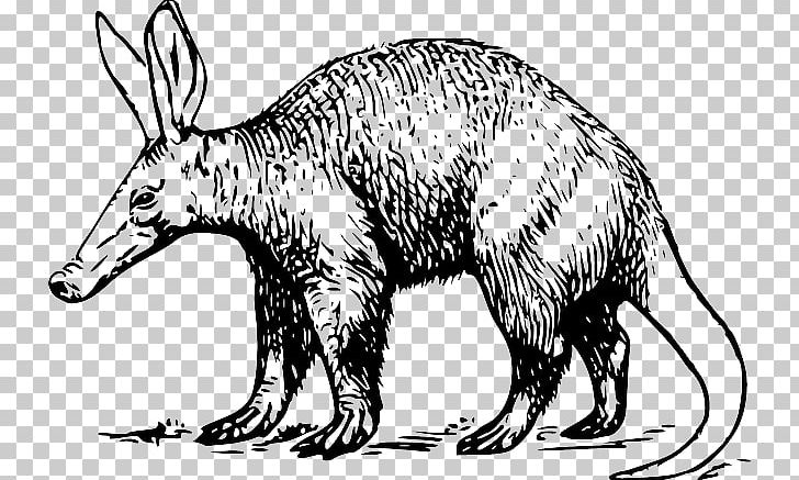 Aardvark Open Anteater Vertebrate PNG, Clipart, Aardvark, Anteater, Armadillo, Bear, Black And White Free PNG Download
