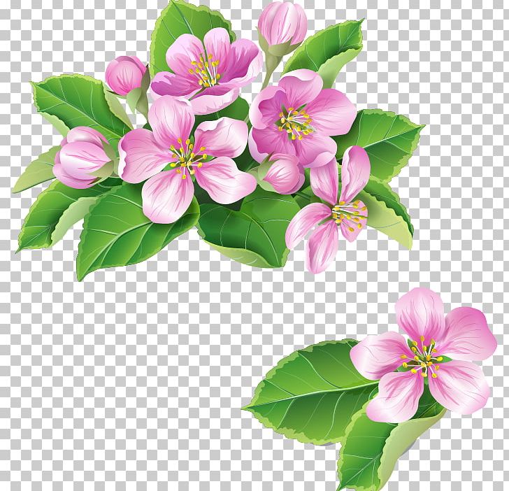 Blossom Flower PNG, Clipart, Apple, Blossom, Bouquet, Branch, Cherry Blossom Free PNG Download