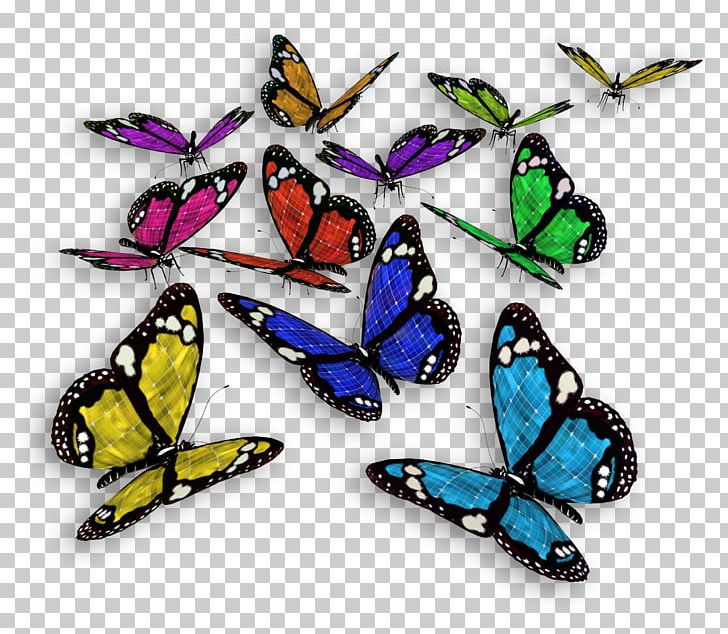 Butterfly Color Cethosia Cyane PNG, Clipart, Brush Footed Butterfly, Cater, Decorative, Effect, Happy Birthday Vector Images Free PNG Download
