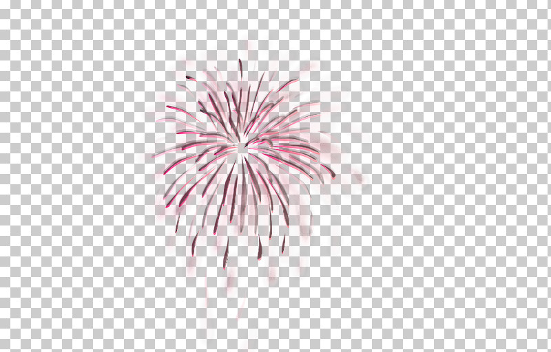 Fireworks Pink Line Event Plant PNG, Clipart, Event, Fireworks, Flower, Line, Pink Free PNG Download