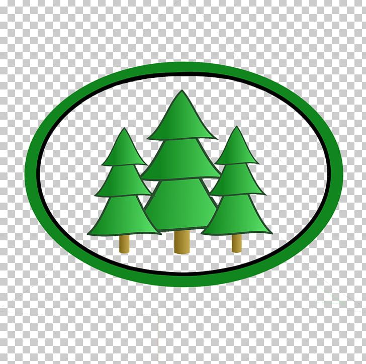Christmas Tree Conifers Fir Pine PNG, Clipart, Area, Austrocedrus, Cedar, Christmas, Christmas Decoration Free PNG Download