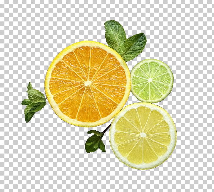 Lemon-lime Drink Key Lime Rangpur PNG, Clipart, Citric Acid, Citrus, Cucumber Slices, Download, Encapsulated Postscript Free PNG Download