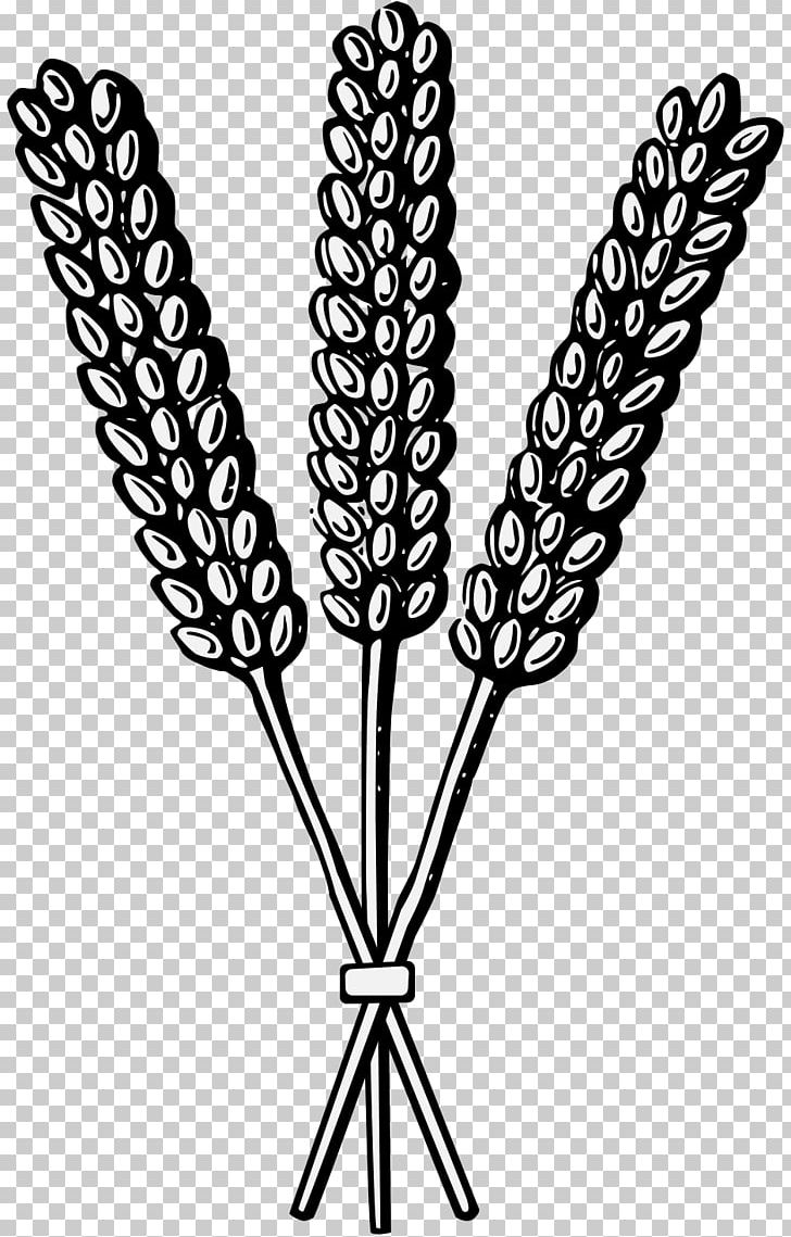 Sheaf Wheat Heraldry Cereal PDF PNG, Clipart, Art, Black And White, Cereal, Charge, Flowering Plant Free PNG Download