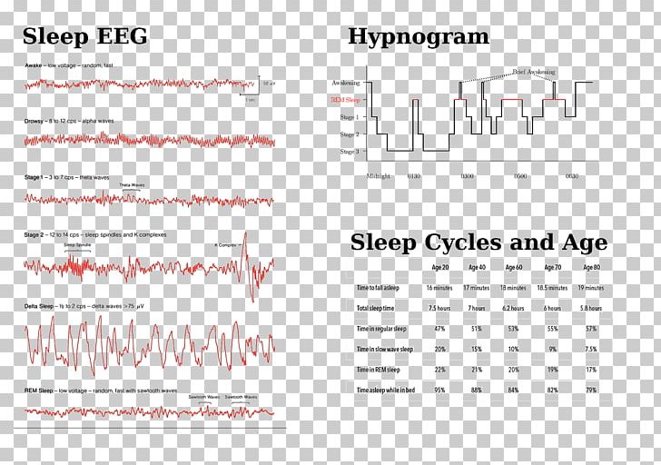 Document Line Design M Brand PNG, Clipart, Area, Art, Brand, Design M, Diagram Free PNG Download