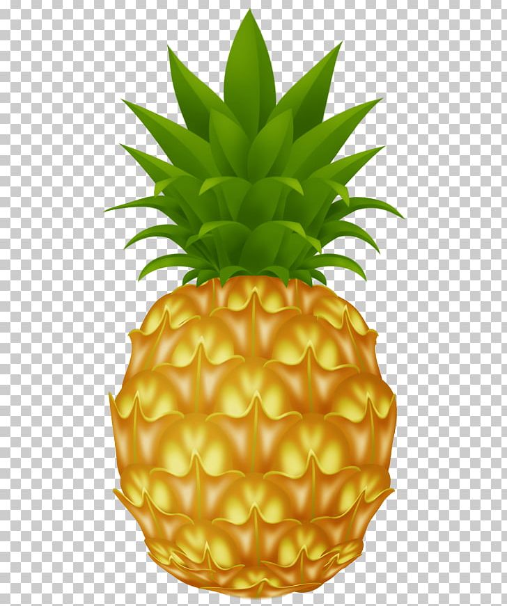 Pineapple Portable Network Graphics Graphics PNG, Clipart, Ananas, Apple Pen, Bromeliaceae, Commodity, Drawing Free PNG Download