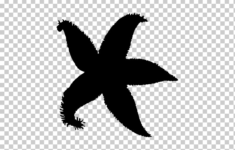 Bird Black-and-white Symbol Silhouette Wing PNG, Clipart, Bird, Blackandwhite, Silhouette, Symbol, Wing Free PNG Download