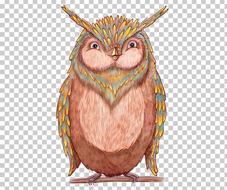 Owl Drawing Feather Illustration PNG, Clipart, Animal, Animals, Art, Beak, Bird Free PNG Download
