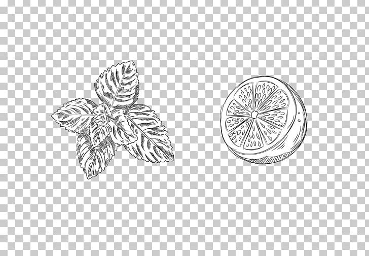 Water Mint Lemonade Mentha Spicata Mentha Xd7rotundifolia PNG, Clipart, Autumn Leaves, Banana Leaves, Black, Black And White, Body Jewelry Free PNG Download