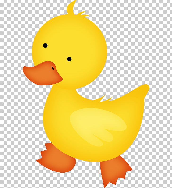 baby duck cartoon images