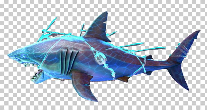 Great White Shark Requiem Sharks Marine Biology Fauna PNG, Clipart, Animals, Biology, Carcharodon, Cartilaginous Fish, Electric Blue Free PNG Download