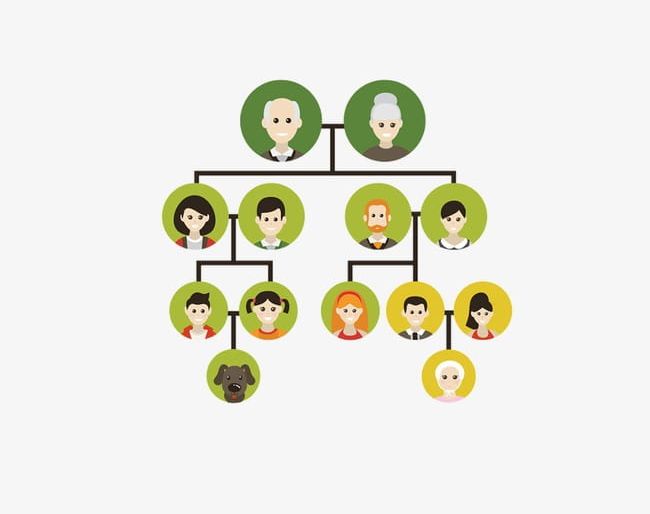 Cartoon Family Tree