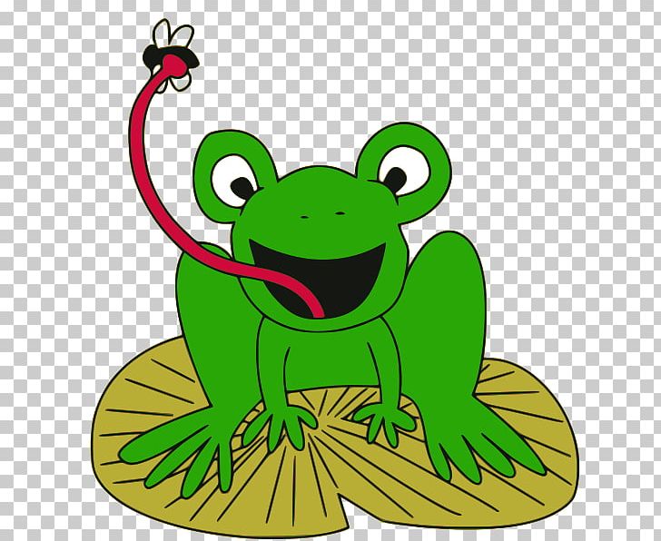 Frog Le Cycle De Vie De La Grenouille Food Eating PNG, Clipart, Amphibian, Animal, Animal Figure, Artwork, Bed Bug Free PNG Download