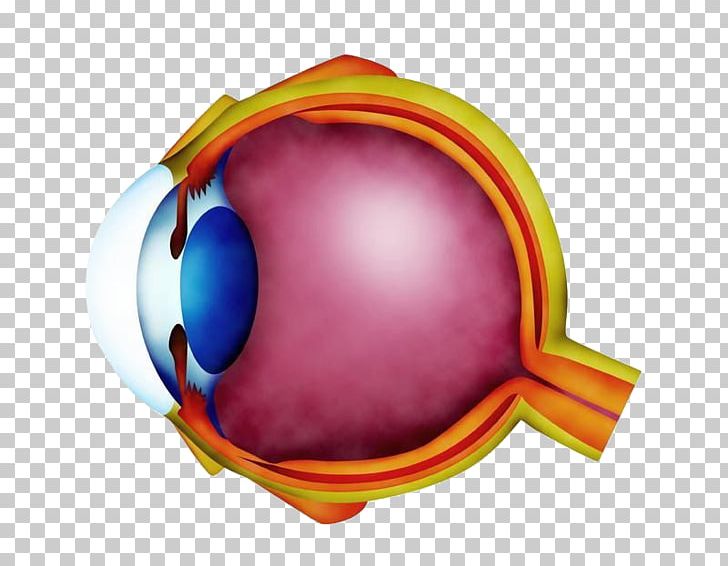 Hypermetropia Refractive Error Near-sightedness Eye Ophthalmology PNG, Clipart, Anime Eyes, Astigmatism, Blue Eyes, Care, Cartoon Eyes Free PNG Download