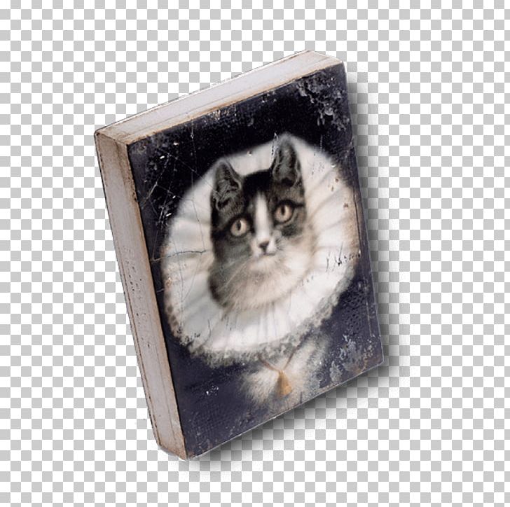 Katzenfreundschaften (4 Wunderschöne Katzengeschichten Vom Tiervater Alfred Brehm) Cat Whiskers Collage Frames PNG, Clipart, Animals, Box, Cat, Cat Like Mammal, Collage Free PNG Download