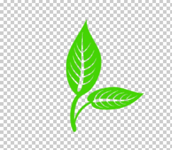 Logo Leaf Graphics Euclidean PNG, Clipart, Art, Cartoon, Green, Leaf, Leaf Vector Free PNG Download