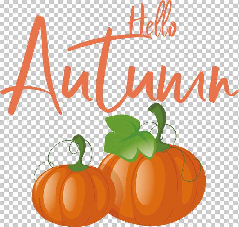 Pumpkin PNG, Clipart, Drawing, Grape, Grape Leaves, Green, Pumpkin Free PNG Download
