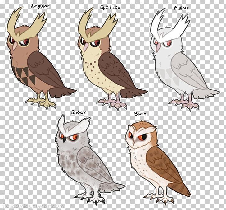 Ash Ketchum Pokémon Noctowl Drawing Hoothoot PNG, Clipart, Art, Ash Ketchum, Beak, Bird, Bird Of Prey Free PNG Download