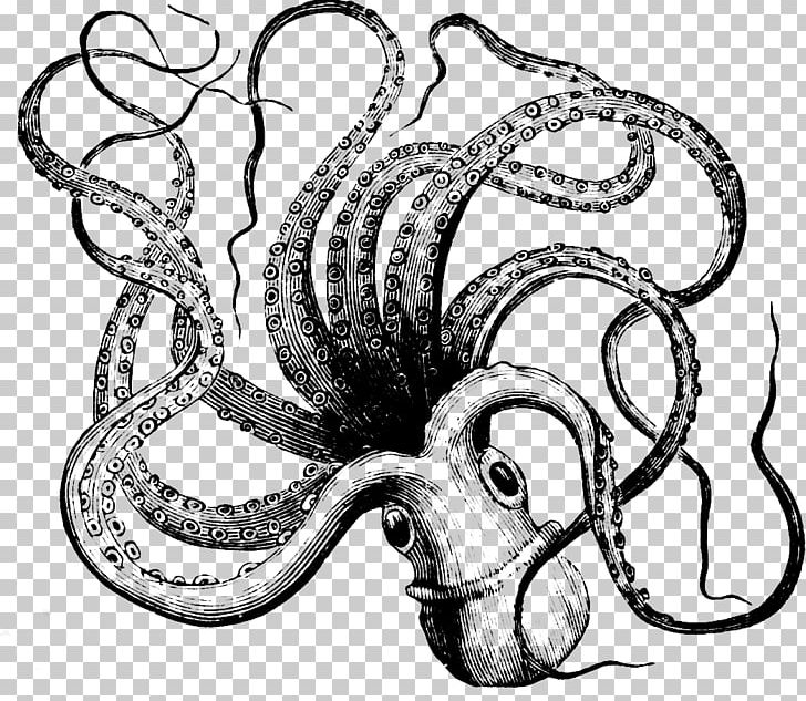 Octopus Towel Squid PNG, Clipart, Art, Black And White, Cephalopod, Circle, Drawing Free PNG Download