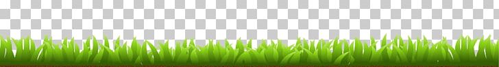 Wheatgrass Computer PNG, Clipart, Artificial Grass, Bottom, Cartoon Grass, Computer, Computer Wallpaper Free PNG Download