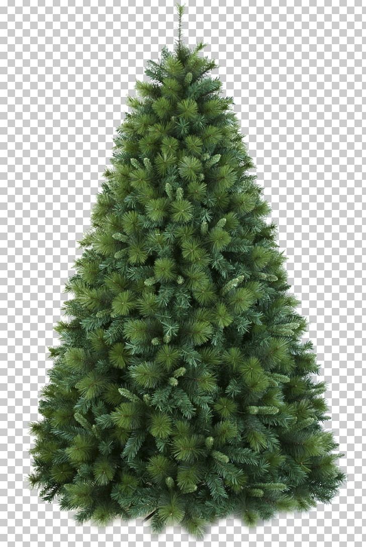Artificial Christmas Tree Douglas Fir PNG, Clipart, Artificial Christmas Tree, Balsam Fir, Balsam Hill, Biome, Christmas Free PNG Download