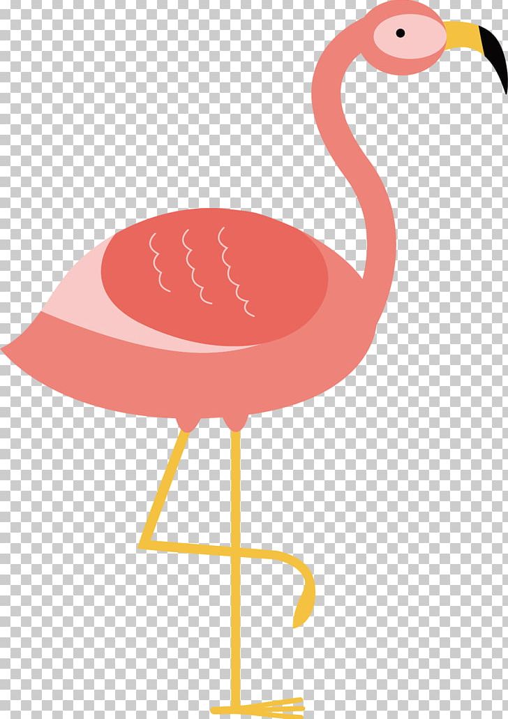 Flamingo Bird Illustration PNG, Clipart, Animals, Beak, Drawing, Feather, Flamingo Free PNG Download