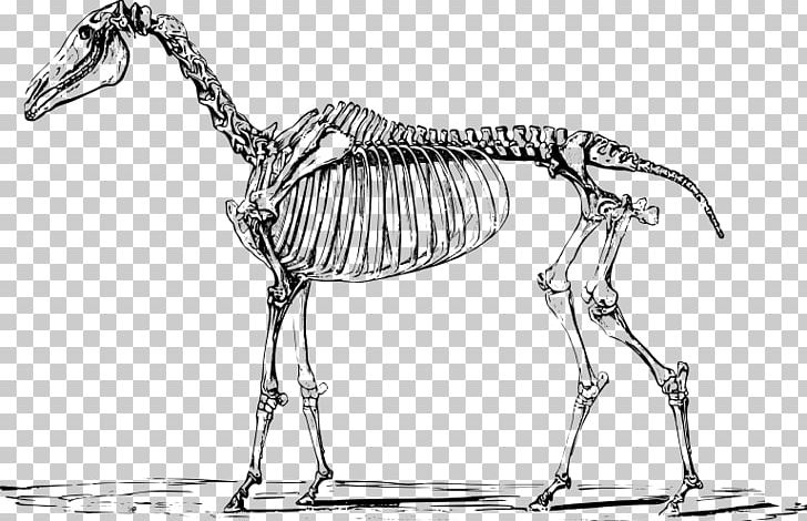 Horse Unicorn Drawing Skeleton Mythology PNG, Clipart, Animal, Animal Figure, Animals, Arts, Artwork Free PNG Download