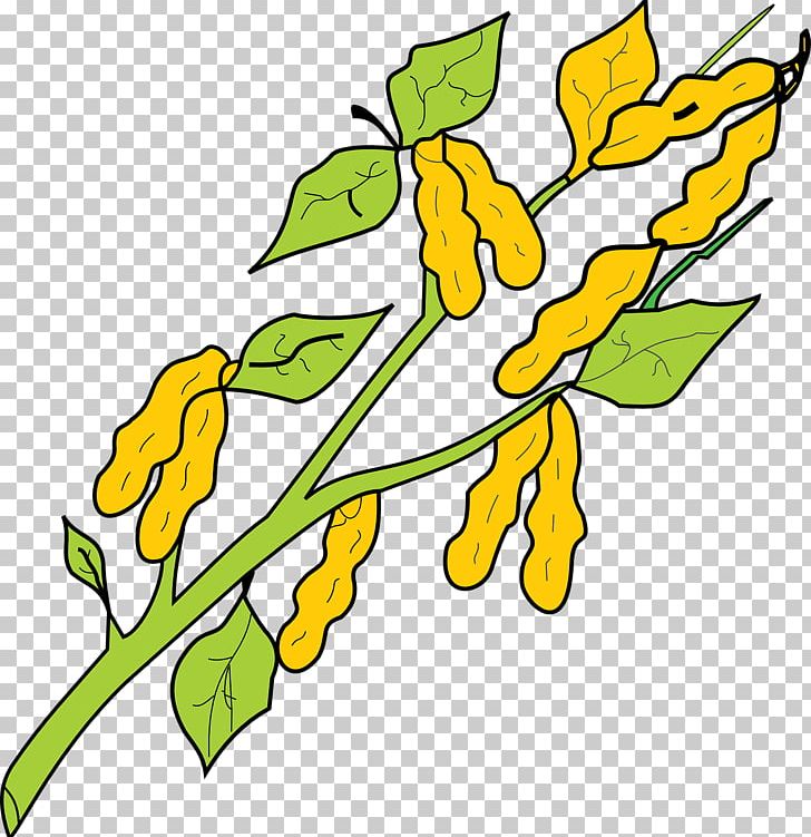 Drawing Peanut Graphics PNG, Clipart, Artwork, Branch, Computer Icons, Cut Flowers, Download Free PNG Download