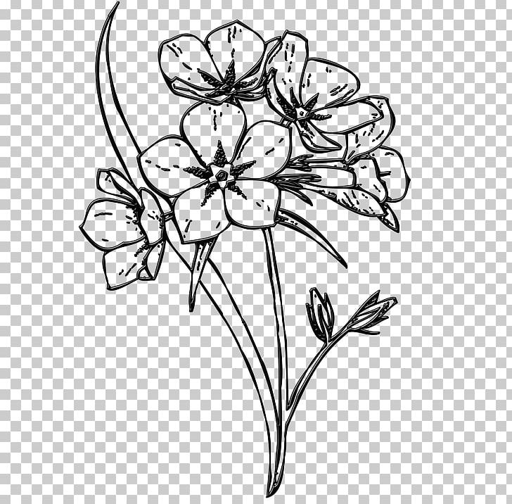 Floral Design Flower Drawing Petal PNG, Clipart, Art, Artwork, Black And White, Branch, Bud Free PNG Download