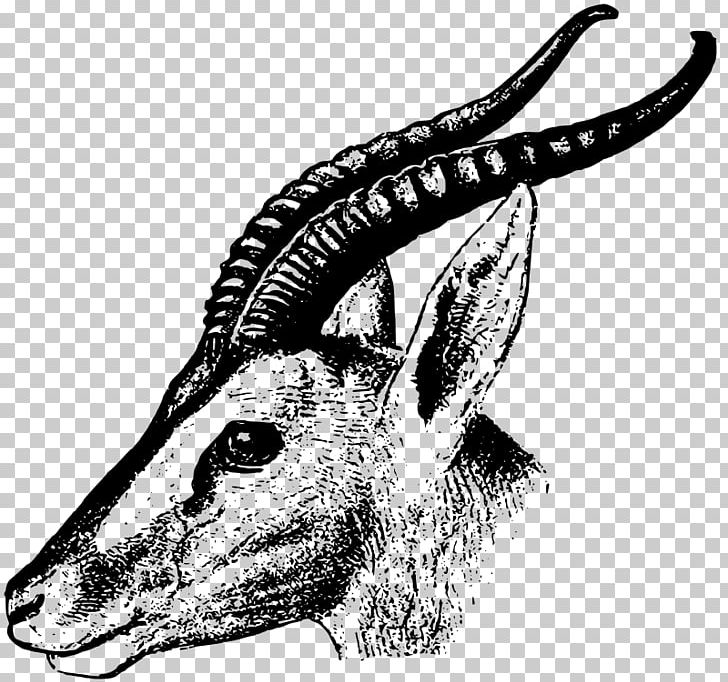 Soemmerring's Gazelle Impala PNG, Clipart,  Free PNG Download