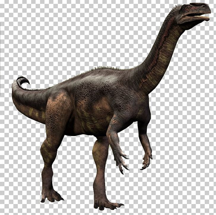 Velociraptor Plateosaurus Teratosaurus Rhamphorhynchus Tyrannosaurus PNG, Clipart, Animal, Archaeopteryx, Brachiosaurus, Dinosaur, Dinosaur Size Free PNG Download