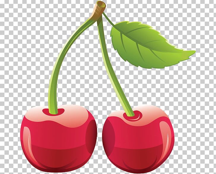 Cherry Computer Icons PNG, Clipart, Cherry, Cherry Cartoon, Cherry Red, Computer Icons, Flowering Plant Free PNG Download