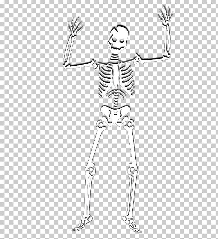 Human Skeleton PNG, Clipart, Arm, Encapsulated Postscript, Hand, Head, Horror Skull Free PNG Download
