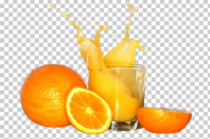 Orange Juice Orange Drink Milkshake SunnyD PNG, Clipart, Citric Acid, Clementine, Cuisine, Diet Food, Drink Free PNG Download