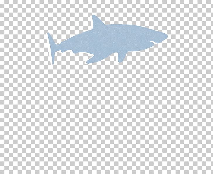 Requiem Shark Chondrichthyes Marine Mammal Marine Biology Fish PNG, Clipart, Animal, Animals, Biology, Carcharhiniformes, Cartilage Free PNG Download