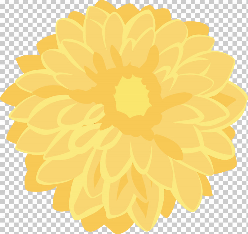 Sunflower PNG, Clipart, Dahlia, English Marigold, Flower, Gerbera, Paint Free PNG Download