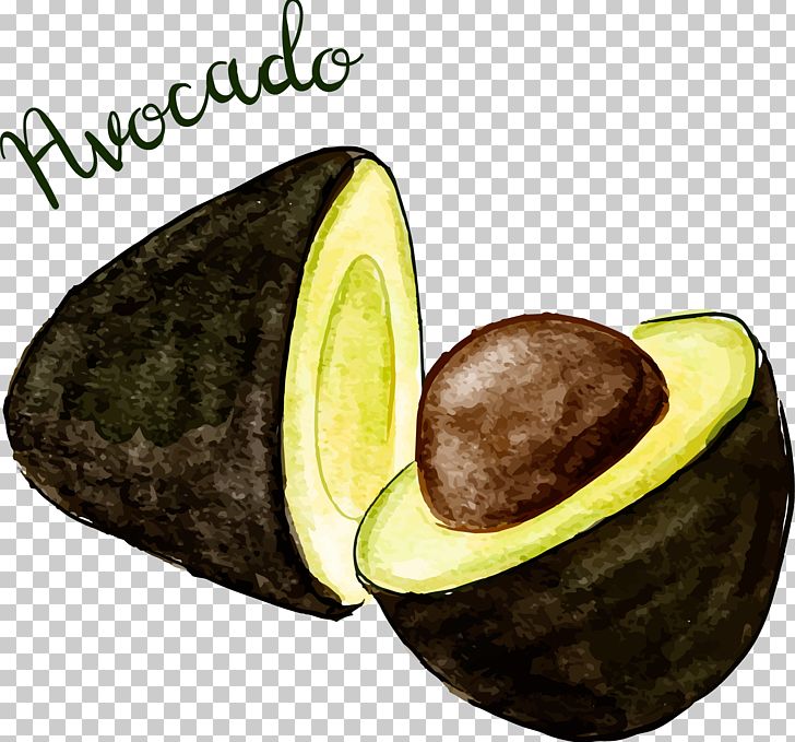 Avocado Skirt Euclidean PNG, Clipart, Apple Fruit, Avocado, Decorative Patterns, Food, Fruit Free PNG Download
